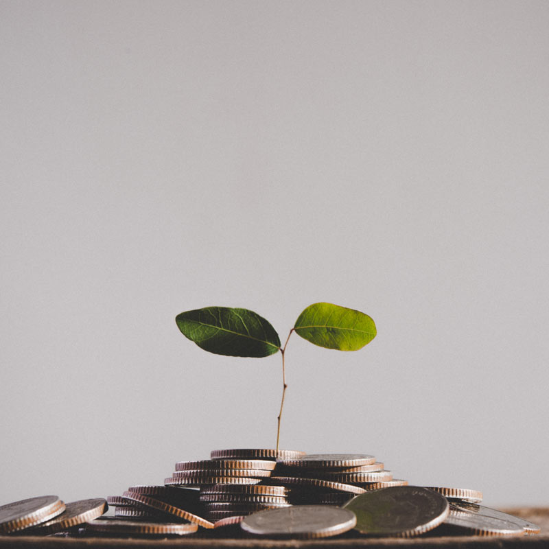 heap-of-coins-and-sprouts-on-top-2021-08-30-20-39-38-utc